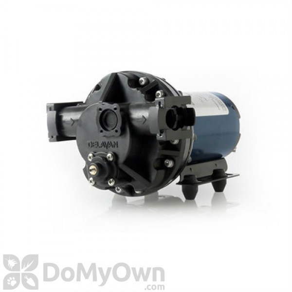 Delavan 5830201 Electric Pump