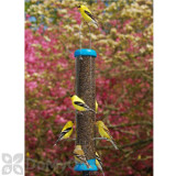 Alternate Image 1 Thumbnail