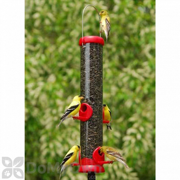 Droll Yankees Red Bird Lovers Bird Seed Feeder 15 In Bl15rs