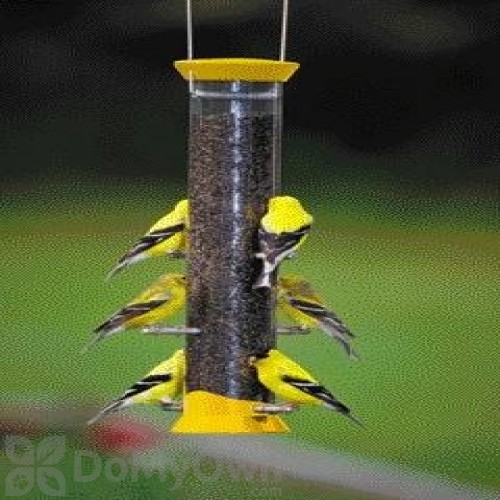 Droll Yankees Metal Thistle Bird Feeder Yellow(CJTHM15Y)
