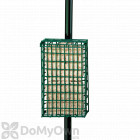 Droll Yankees Suet Bird Feeder with Double Pole Clamp (SFPCD)