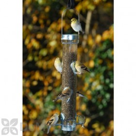 Droll Yankees Nyjer Feeder with Ring Pull Silver Bird Feeder (TH3RP)