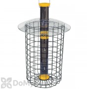 Droll Yankees Finch Flocker Bird Feeder with Dome Cage (THDC23Y)