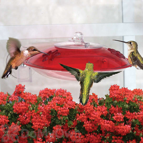 Droll Yankees Window Hummingbird Feeder 6 Oz Wh3