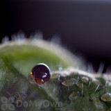 Alternate Image 1 Thumbnail