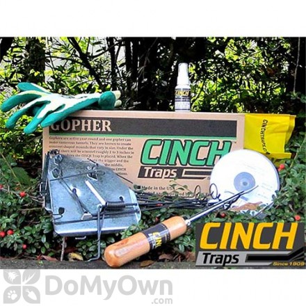 CINCH Traps Gopher Trap Deluxe Kit 3-pack