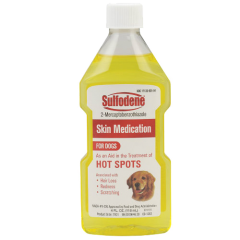Dog Antibiotics & Medicine