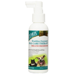Dog Dental Care