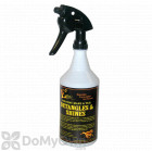 E3 Detangles and Shines