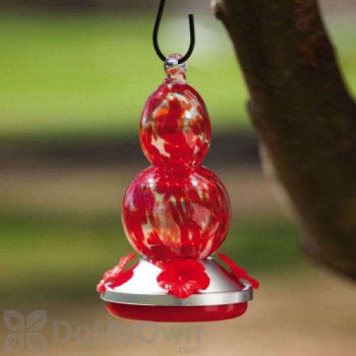 Evergreen Enterprises Red Grapes Glass Hummingbird Feeder (2HF042)