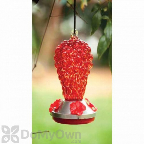 Evergreen Enterprises Red Glass Hummingbird Feeder (2HF040)