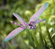 Exhart Windy Wings Dragonfly Garden Stake Assorted (50205)