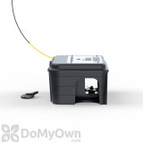 Alternate Image 2 Thumbnail