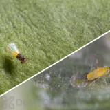 Alternate Image 1 Thumbnail