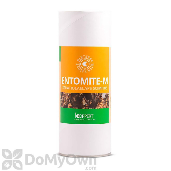 Koppert Entomite M 50000 (Hypoaspis miles) (4675)