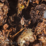 Alternate Image 1 Thumbnail