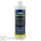 Farnam Thrush Relief