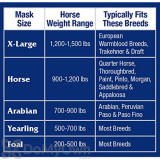 Alternate Image 2 Thumbnail