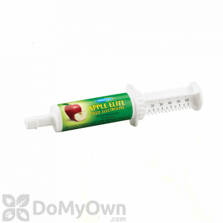 Apple Elite Paste Syringe 60 cc
