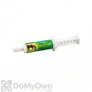 DigestAid Symbiotic Paste Supplement