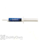 Quietex II Focusing and Calming Paste