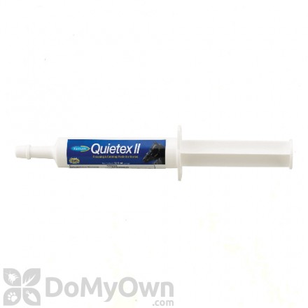 Quietex II Focusing and Calming Paste
