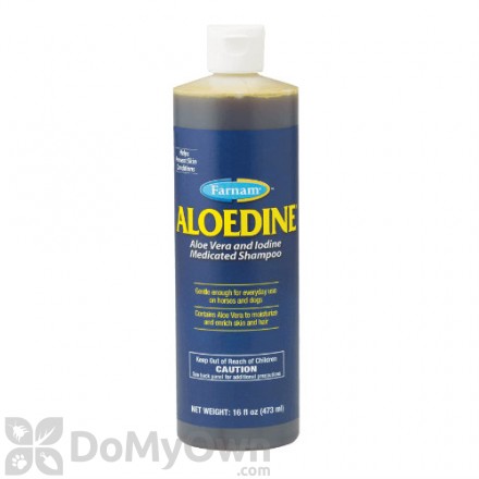 Farnam Aloedine Medicated Shampoo
