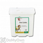 Pure Lysine Amino Acid Supplement