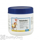 Vita Flex HylaMotion Equine Joint Support Formula