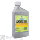 Alternate Image 1 Thumbnail