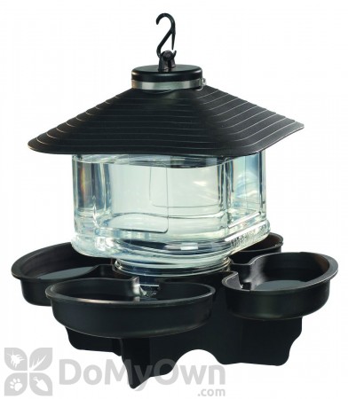 First Nature Clear Lantern Bird Bath and Waterer (3039)