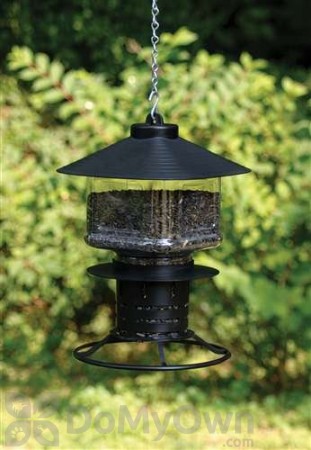 First Nature Clear Lantern Seed Selector Bird Feeder (3305)