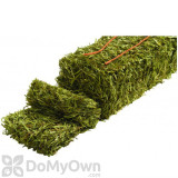 Alternate Image 1 Thumbnail