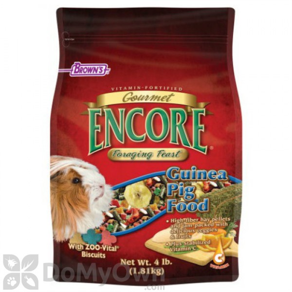 FM Browns Encore Gourmet Foraging Feast Guinea Pig Food