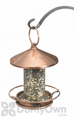 Good Directions Bronze Venetian Bird House with Classic Perch 14.5 in. (112VB)