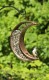 Good Directions Bronze Venetian Crescent Moon Bird Feeder 12 in. (114VB)