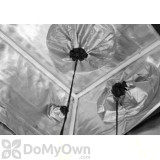 Alternate Image 3 Thumbnail