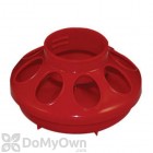 Free Range Baby Chick Feeder Base for Quart Jar