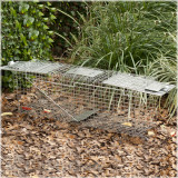 Alternate Image 1 Thumbnail