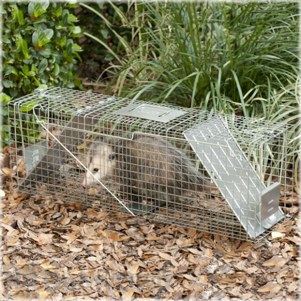 Harvahart 1079 Raccoon Trap