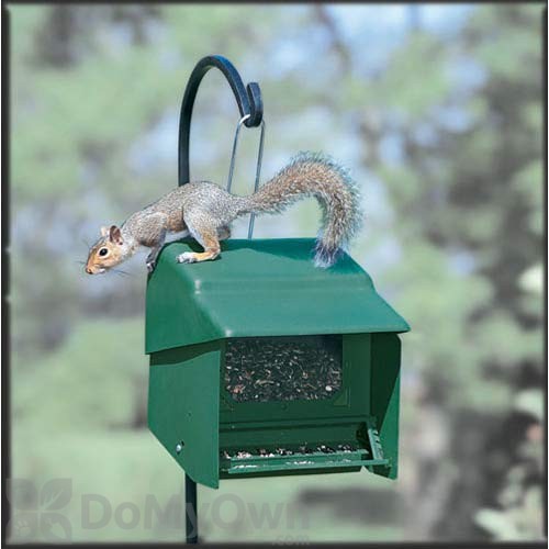 Homestead Super Stop A Squirrel Bird Feeder 11 Lb 3201s