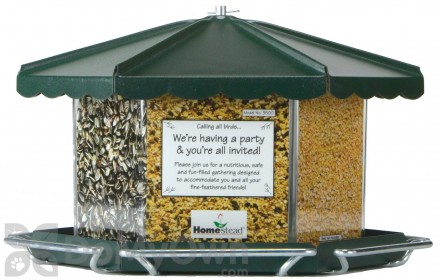 Wild Bird Seed Feeder Products & Supplies | Bird Supplies | DoMyOwn.com