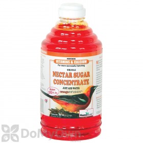 Homestead Oriole Orange Nectar Sugar Concentrate 32 oz. (4373)