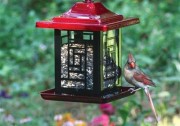 Homestead Mosaic Bird Feeder 5.5 lb. (4482)