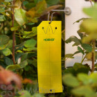 Koppert Horiver - Large Yellow Trap