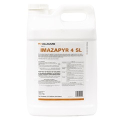 Imazapyr