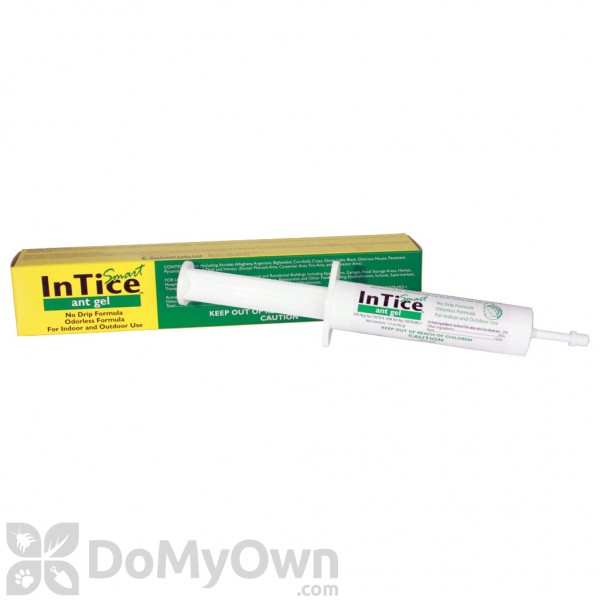 Intice Smart Ant Gel