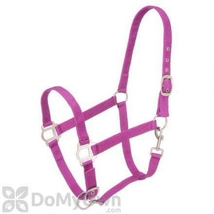 Tough - 1 Nylon Horse Halter with Satin Hardware - Purple