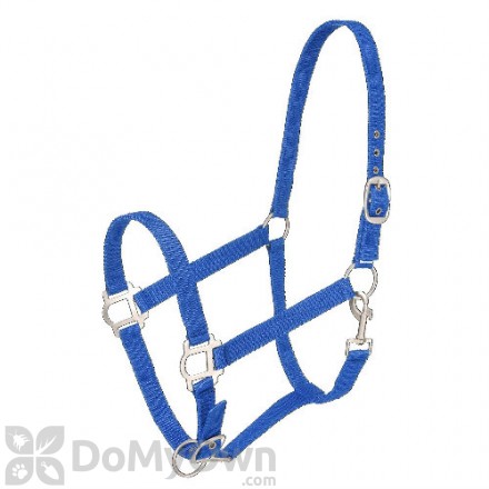 Tough - 1 Nylon Halter with Satin Hardware - Royal Blue