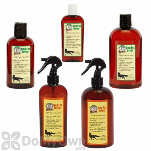 is fox urine dangerous to dogs